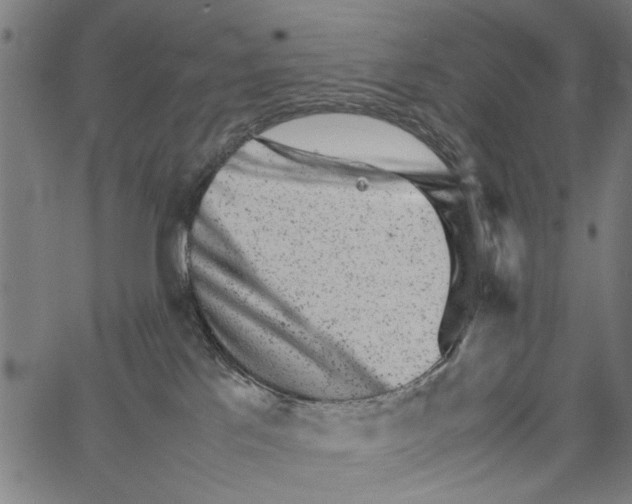 X0000062130041200601060909