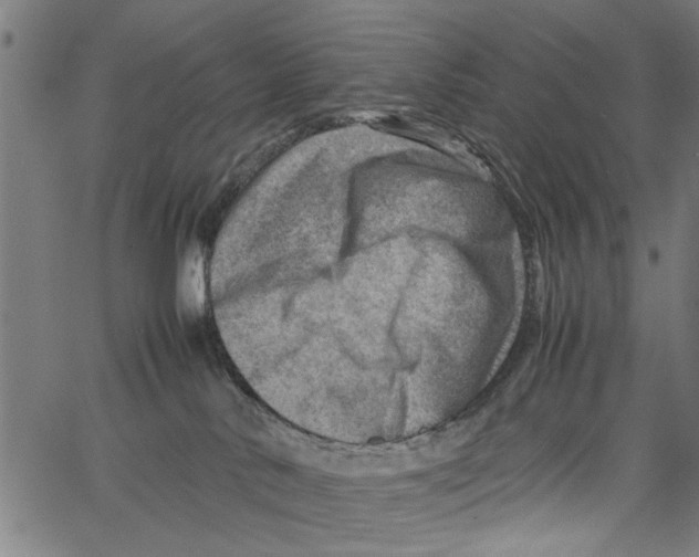 X0000062130042200601060909