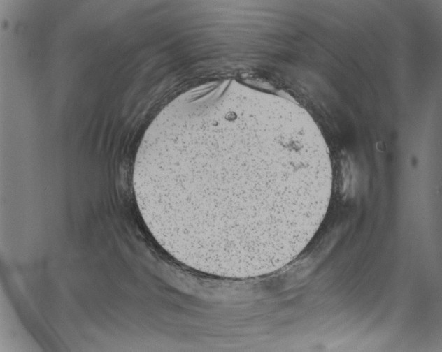 X0000062130044200601060909