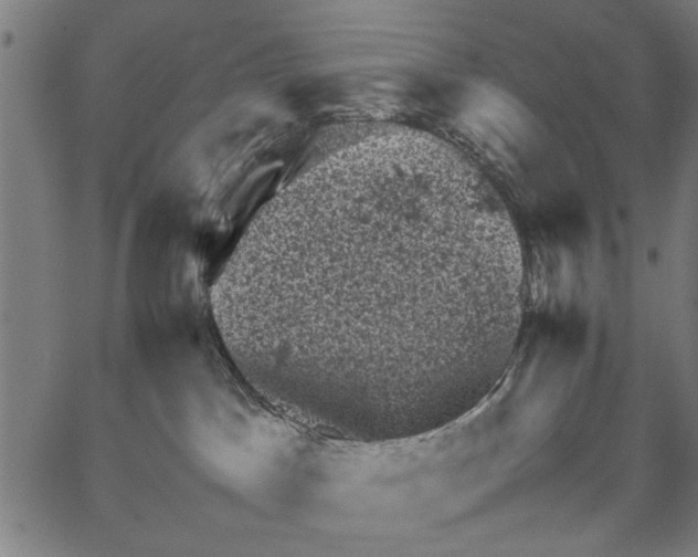 X0000062130045200601060909