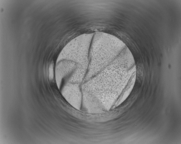 X0000062130046200601060909