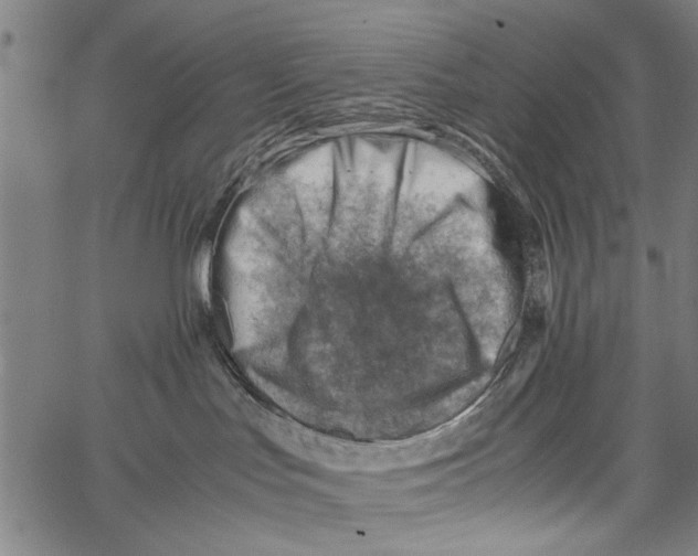 X0000062130047200601060908