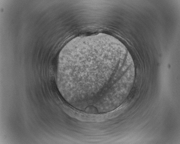 X0000062130048200601060908