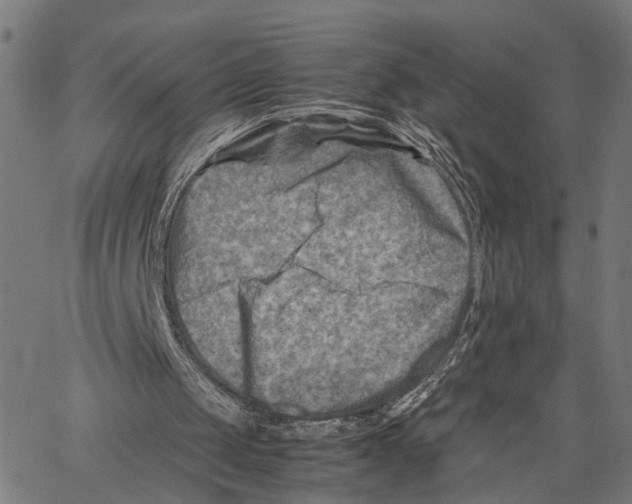 X0000062130049200601060908