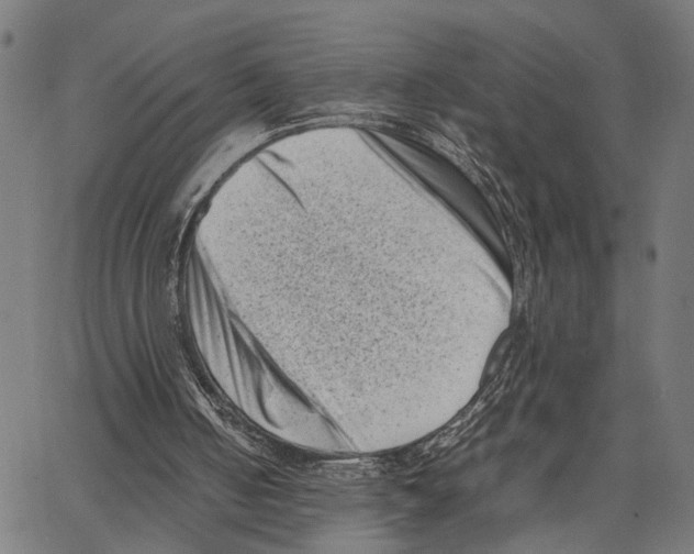 X0000062130050200601060908