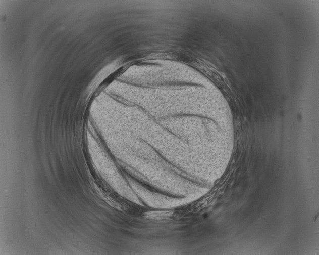 X0000062130051200601060908