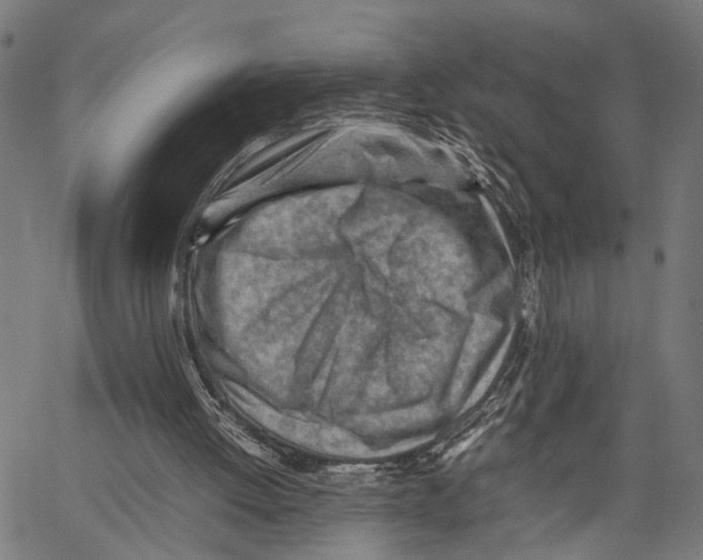 X0000062130052200601060908