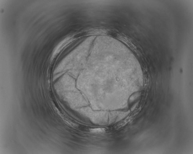 X0000062130053200601060908