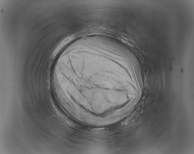 X0000062130054200601060908