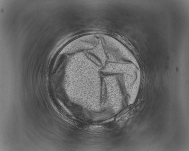 X0000062130055200601060908