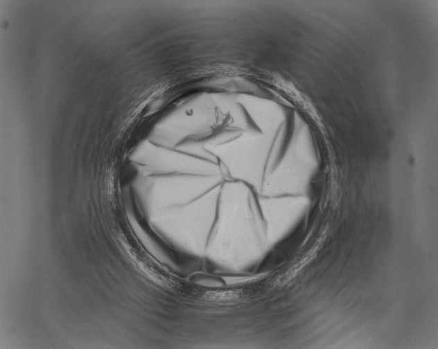 X0000062130057200601060908