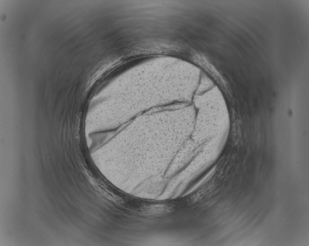 X0000062130058200601060908