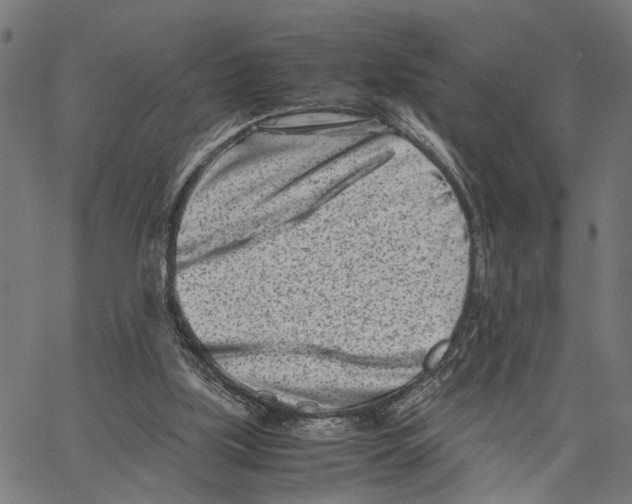 X0000062130059200601060908