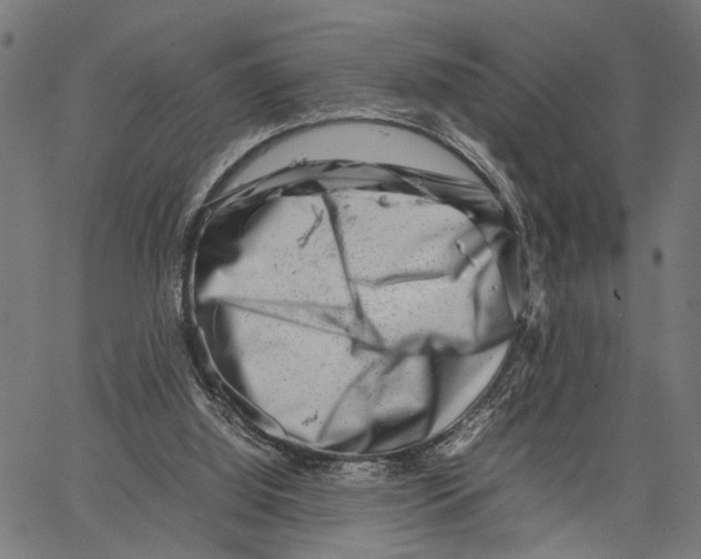 X0000062130060200601060908