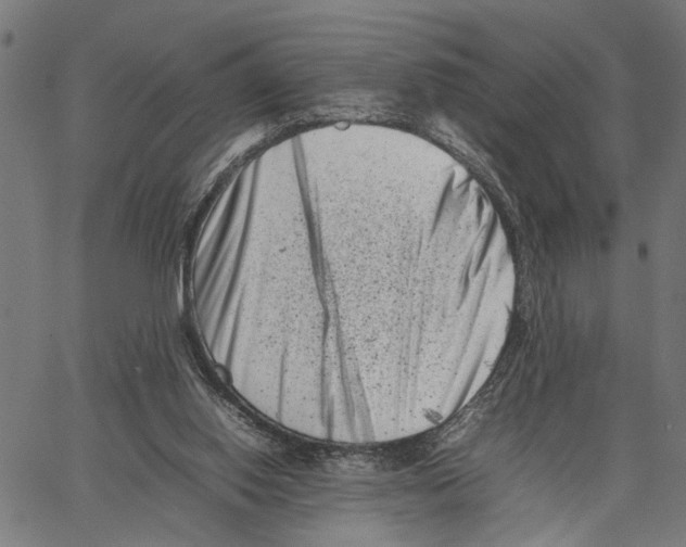 X0000062130062200601060908