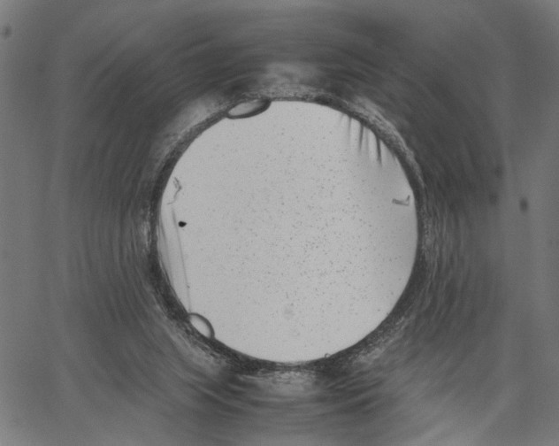 X0000062130063200601060908