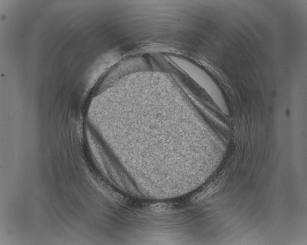 X0000062130064200601060908