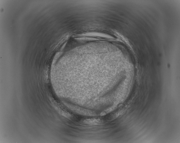 X0000062130065200601060908