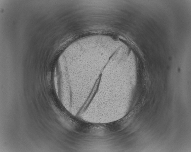 X0000062130066200601060908