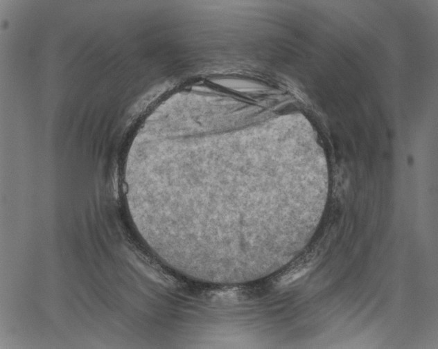 X0000062130068200601060908