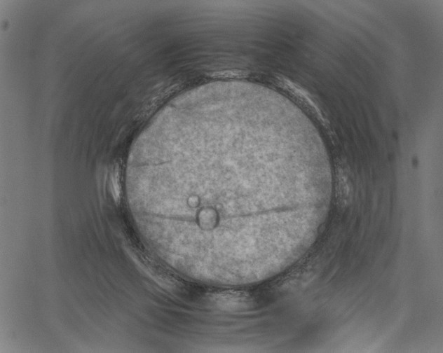 X0000062130069200601060908