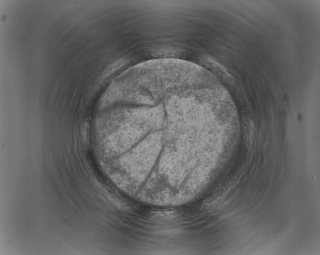 X0000062130071200601060908