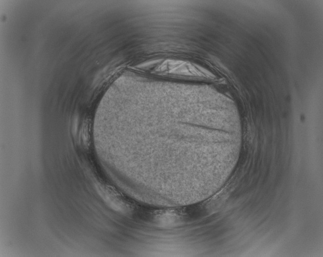 X0000062130074200601060908