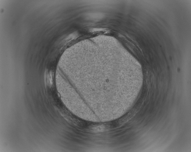 X0000062130075200601060908