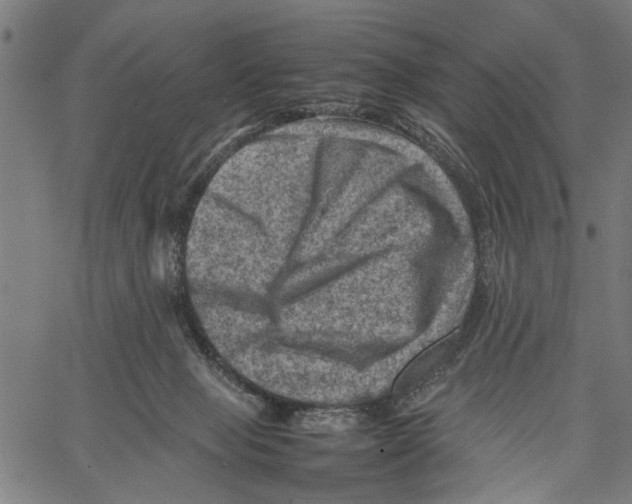 X0000062130077200601060908