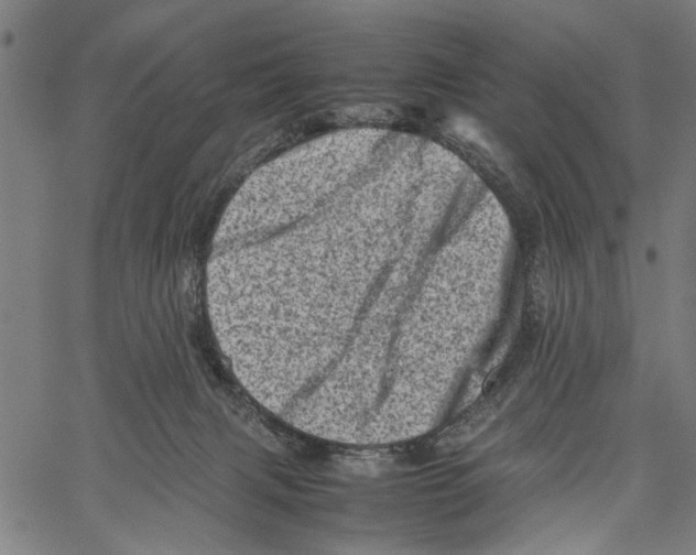 X0000062130079200601060908