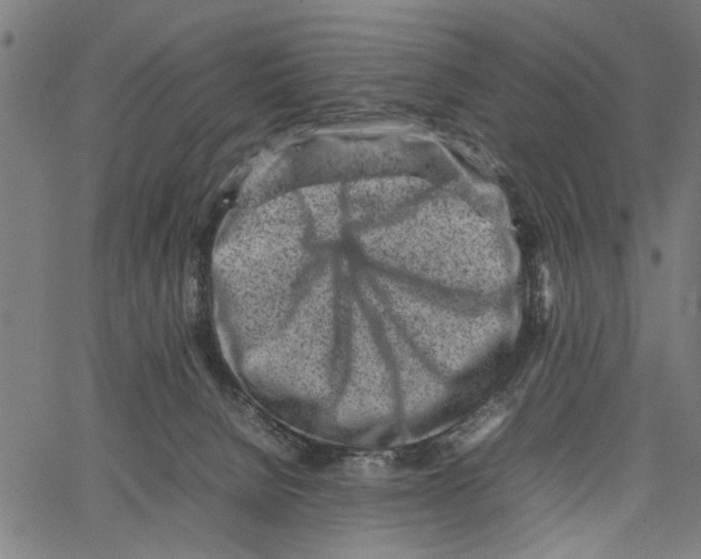 X0000062130080200601060908