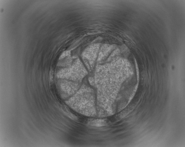 X0000062130081200601060908