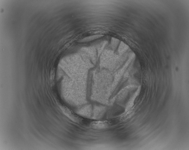 X0000062130082200601060908