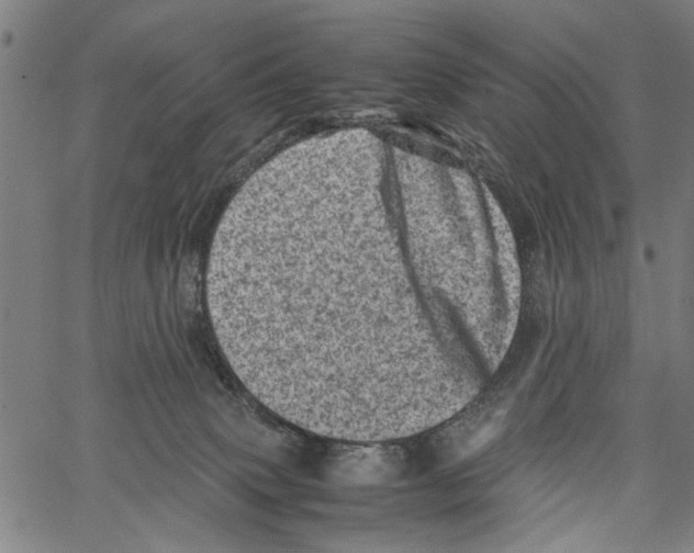 X0000062130083200601060908