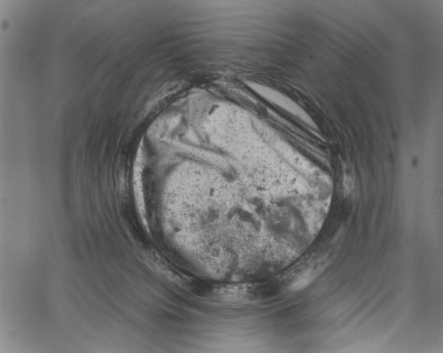 X0000062130084200601060908