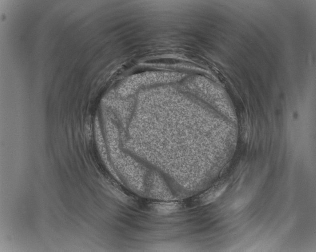 X0000062130085200601060908