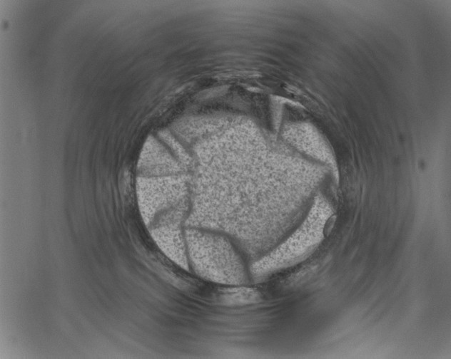 X0000062130087200601060908