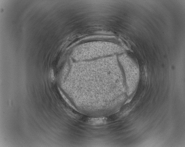 X0000062130089200601060908