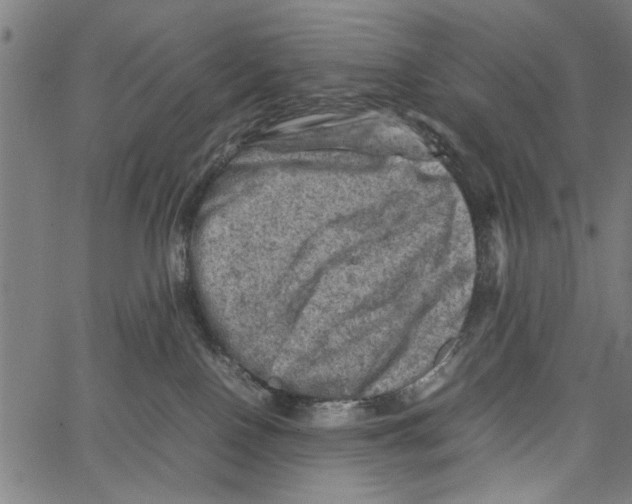 X0000062130090200601060908