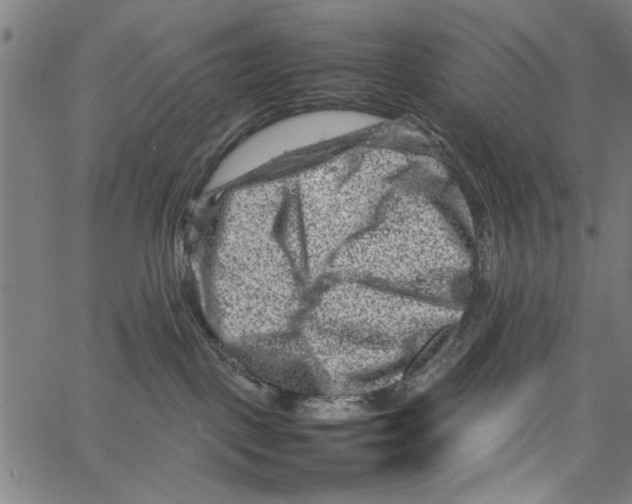 X0000062130093200601060908