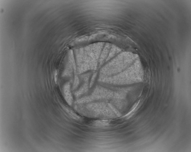 X0000062130094200601060908