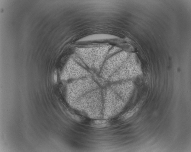 X0000062130095200601060908