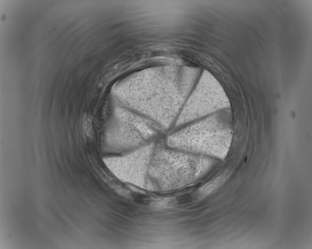 X0000062130096200601060908