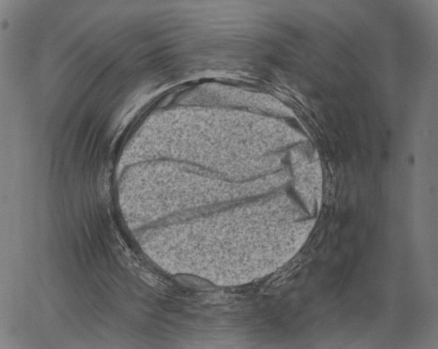 X0000062130098200601060908