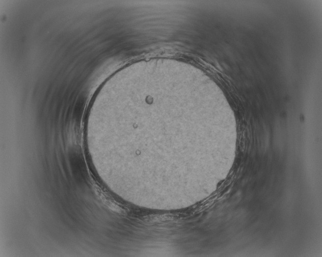 X0000062130100200601060908