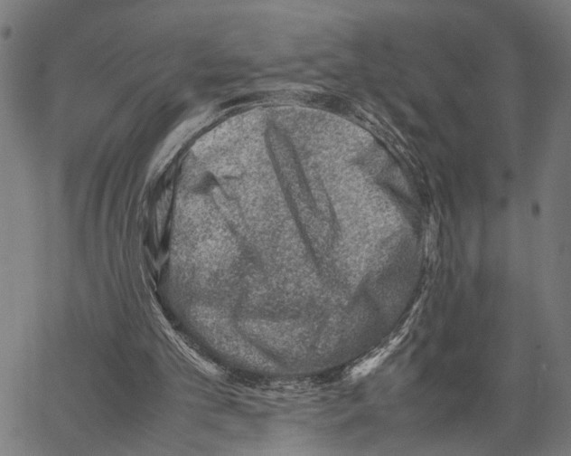 X0000062130101200601060908