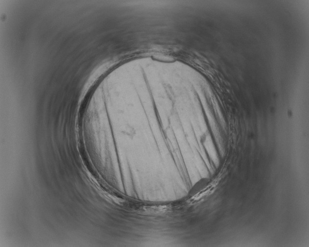 X0000062130102200601060908