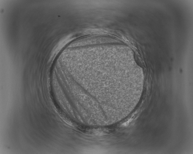 X0000062130103200601060908