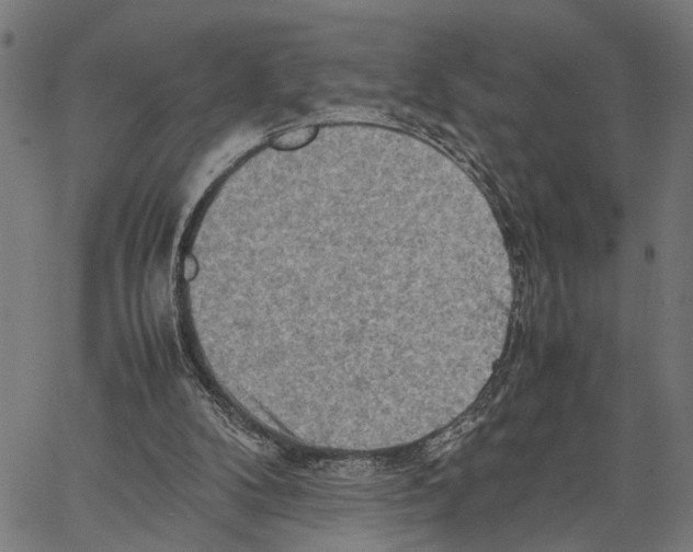 X0000062130104200601060908