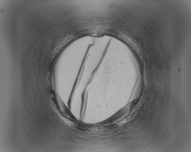 X0000062130105200601060908